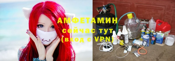 хмурый Абаза