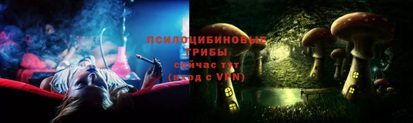 МДПВ Абдулино