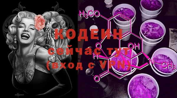хмурый Абаза