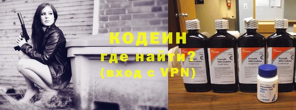 хмурый Абаза