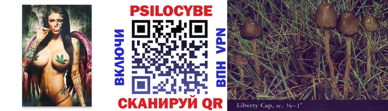 как найти закладки  Электроугли  Псилоцибиновые грибы Cubensis 